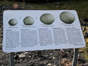 Bord met uitleg over de lifting stones bij het strand van Djúpalónssandur op IJsland