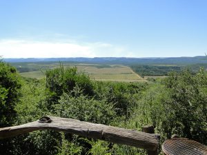 View on the citrus fields from the veranda Addo Dung Beetle Guest Farm South Africa